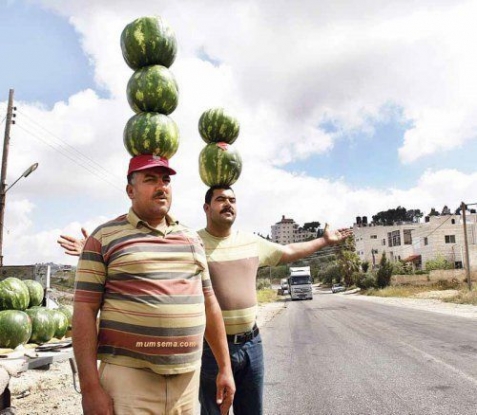 Adana Karpuzu