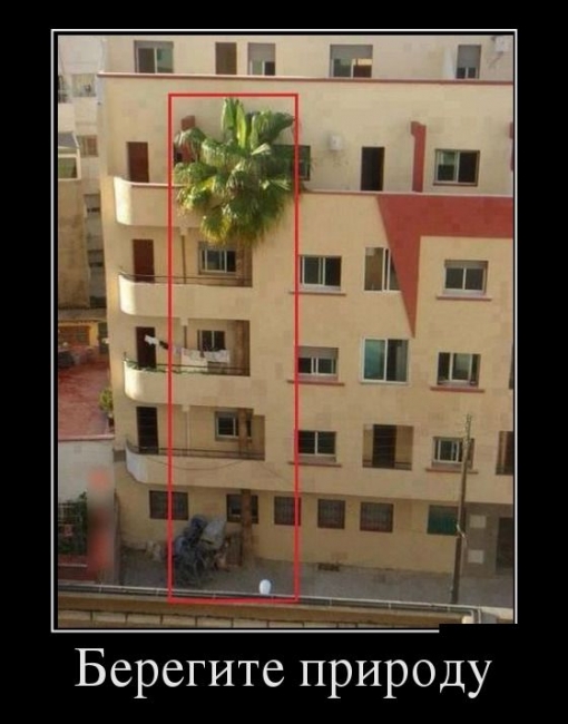 Ağaç Severlik Budur İşte