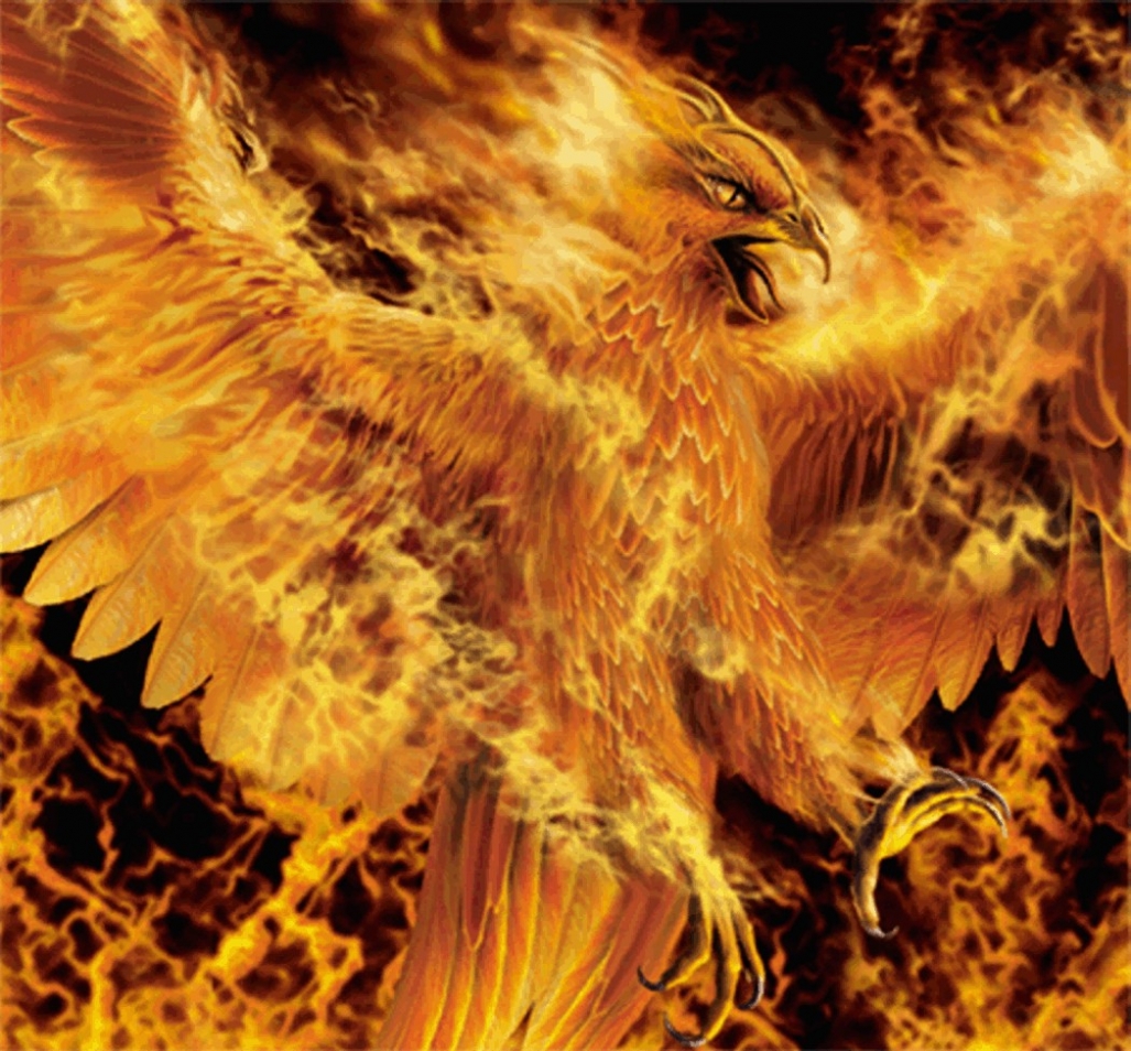 Alev Alev Kartal