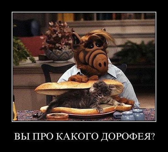 alf