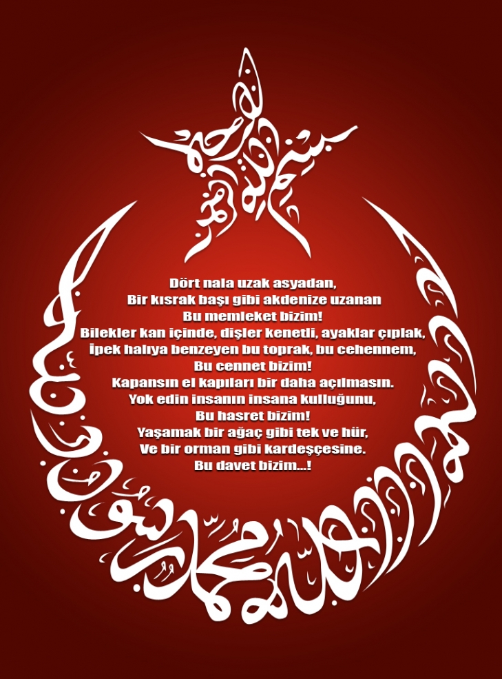 ay yıldızlı bayrak