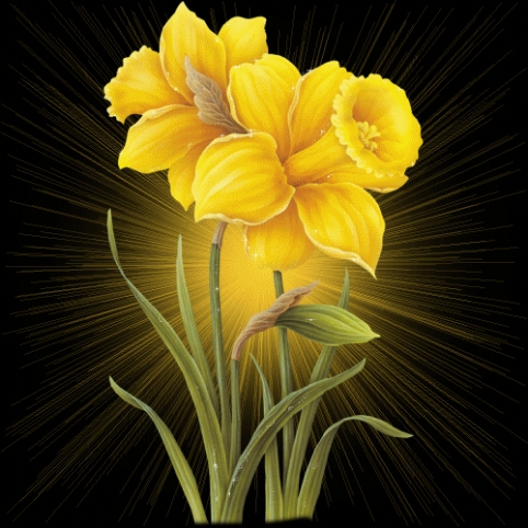 Çiçek flower 