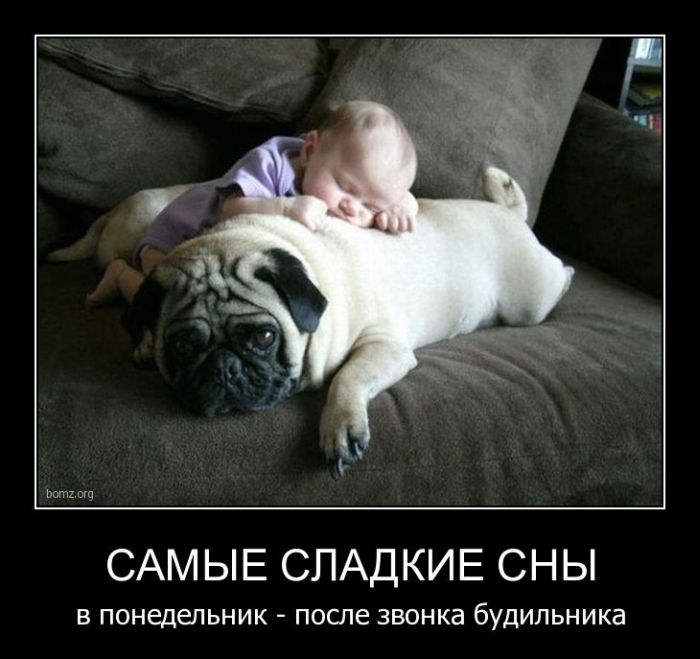 cocuk ve köpek