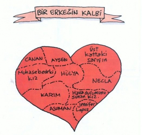 erkek kalbi