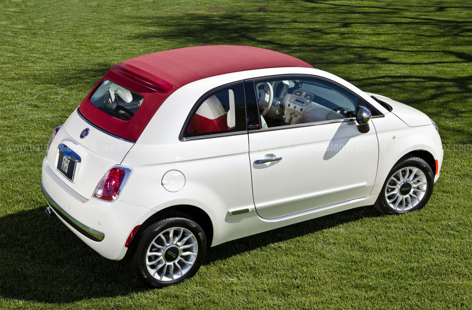 Fiat 500 Cabrio Rear