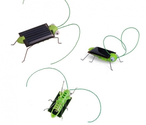 Güneş Enerjili robot böcek