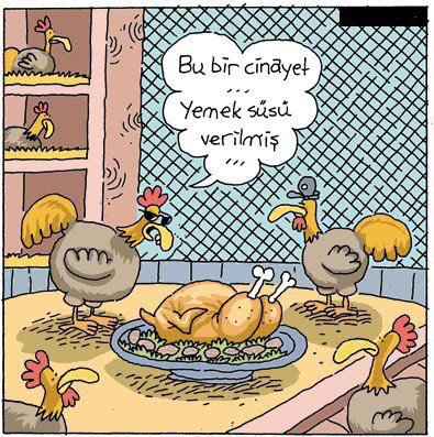 karakatür tavuklar