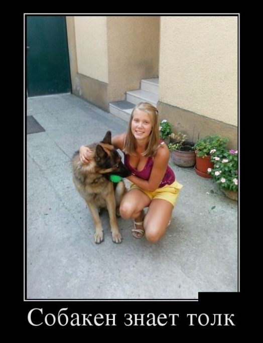 Köpeğin Komik Anları
