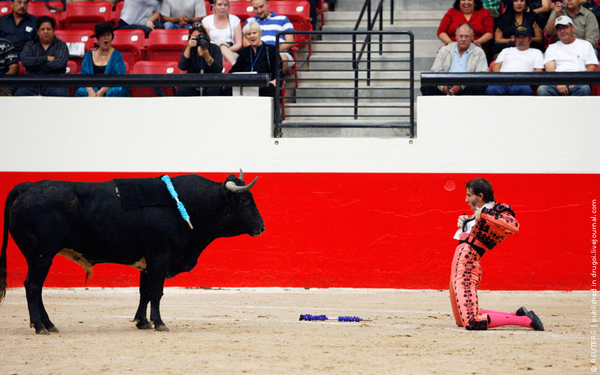 matador ve boga