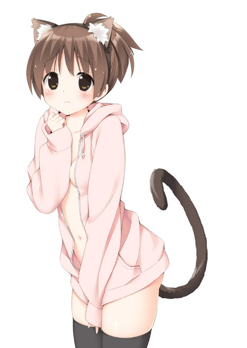 Neko Des!