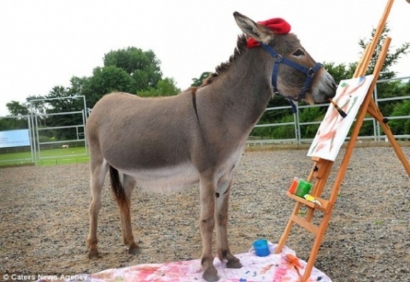 Ressam,eşek