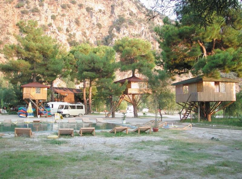 saklı kent ağaç ev