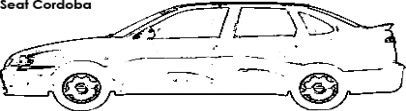 Seat Cordoba boyama