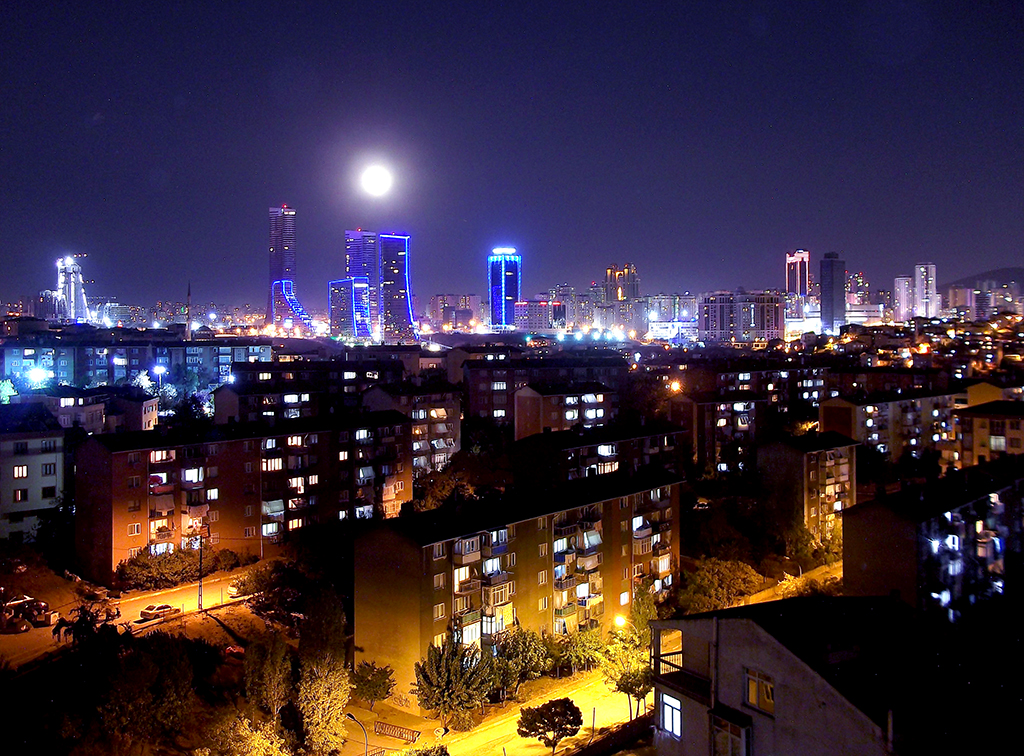 thenight