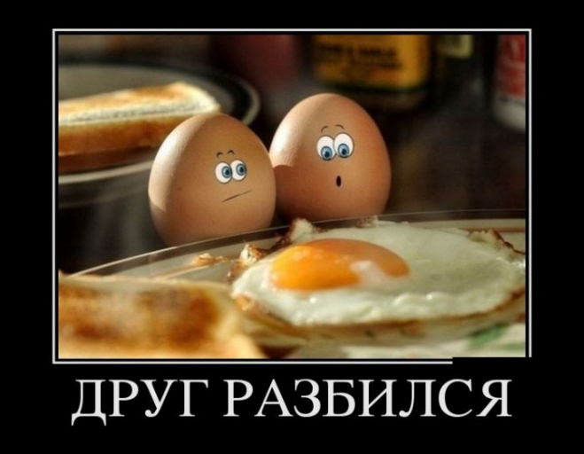 Yumurtanın Omlet Olduğunu Gördüğü An