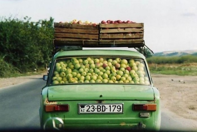 Yurdum İnsanı